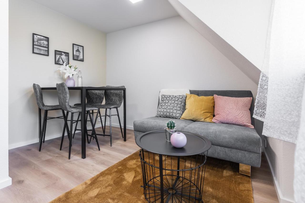 Boutique Apartments Am Stadtgarten 프라이부르크 임 브리스가우 객실 사진