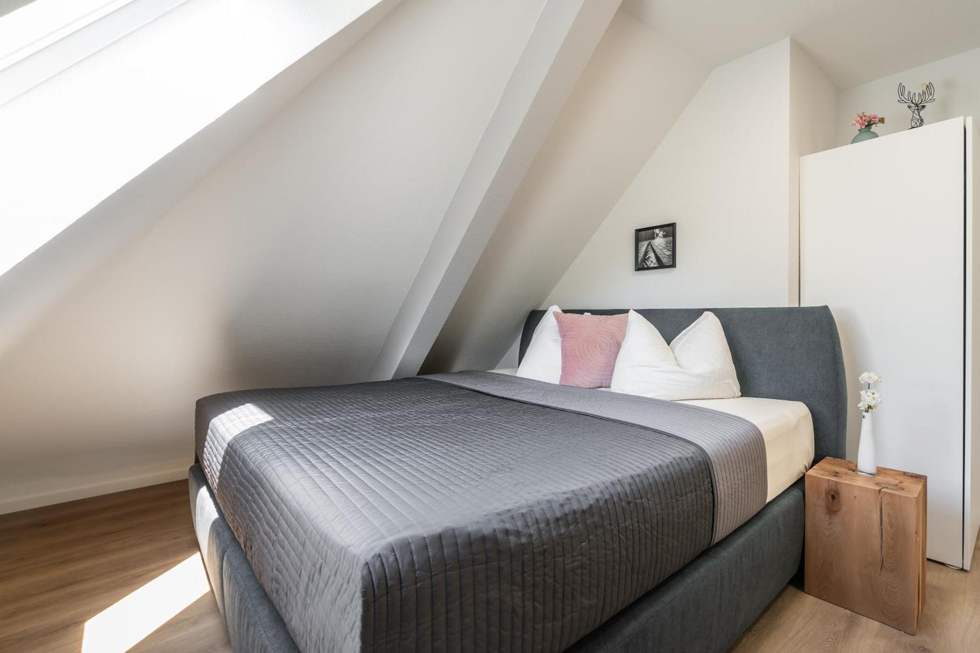 Boutique Apartments Am Stadtgarten 프라이부르크 임 브리스가우 객실 사진